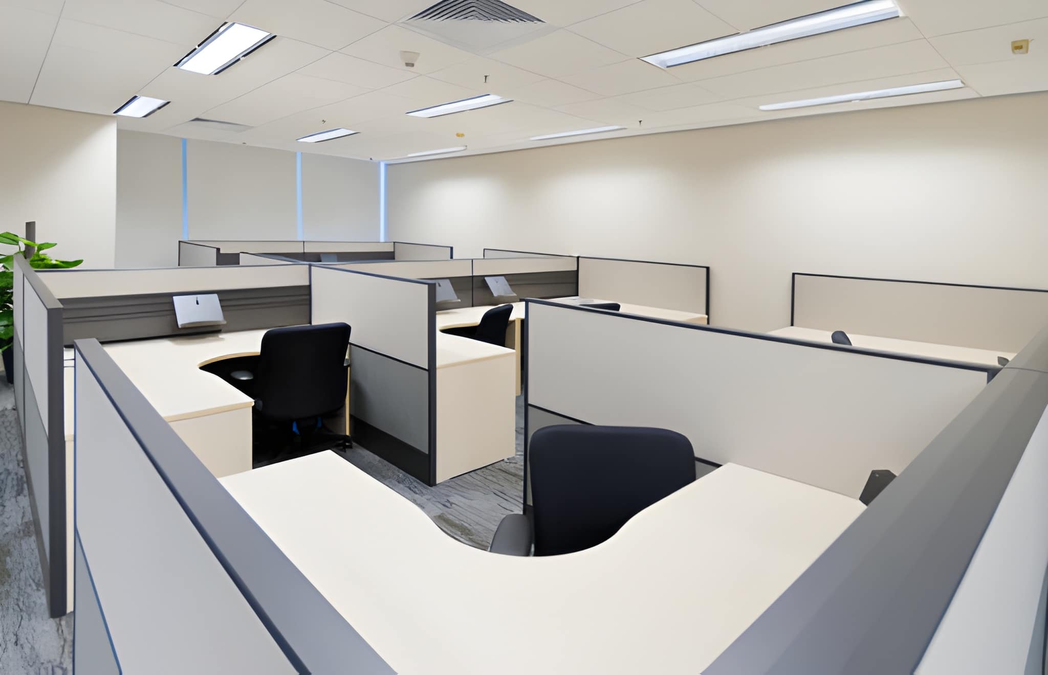 Corporate Office Fit-Out